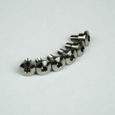 TITANIUM FORK GUARD BOLT