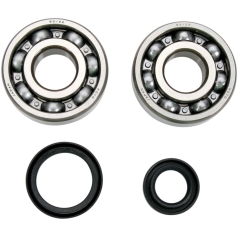 CRANK SHAFT BEARING/SEAL KIT SUZUKI