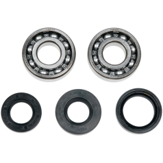 CRANK SHAFT BEARING/SEAL KIT YAMAHA