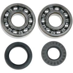 CRANK SHAFT BEARING/SEAL KIT YAMAHA