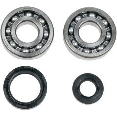 CRANK SHAFT BEARING/SEAL KIT YAMAHA