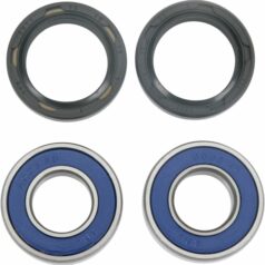 WHEEL BEARING AND SEAL KIT