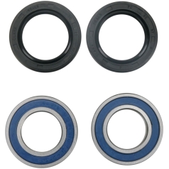 WHEEL BEARING AND SEAL KIT