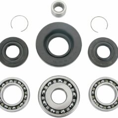 DIFFERENTIAL BEARING AND SEAL KIT
