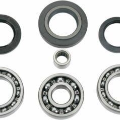 DIFFERENTIAL BEARING AND SEAL KIT