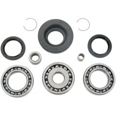 DIFFERENTIAL BEARING AND SEAL KIT