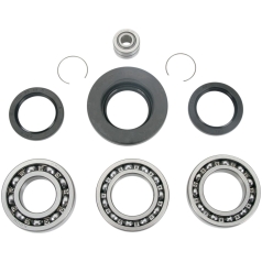 DIFFERENTIAL BEARING AND SEAL KIT