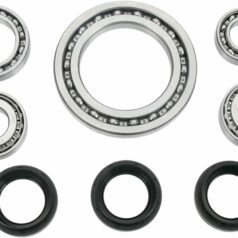 DIFFERENTIAL BEARING AND SEAL KIT