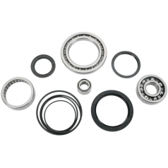DIFFERENTIAL BEARING AND SEAL KIT
