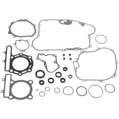 COMPLETE GASKET SET WITH OIL SEALS  ATV-UTV