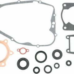 COMPLETE GASKET SET WITH OIL SEALS  ATV-UTV
