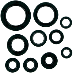 OIL SEAL SET