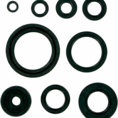 OIL SEAL SET