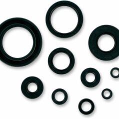 OIL SEAL SET