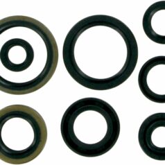 OIL SEAL SET