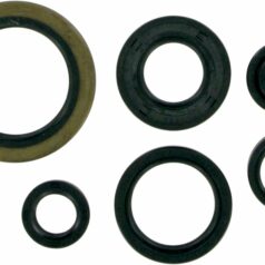 OIL SEAL SET