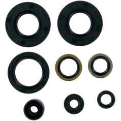 OIL SEAL SET
