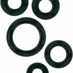 OIL SEAL SET
