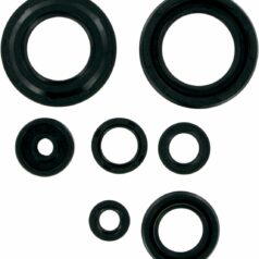 OIL SEAL SET