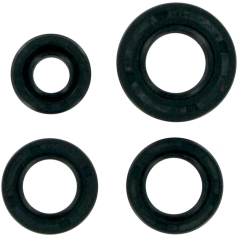 OIL SEAL SET