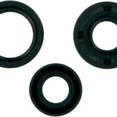 OIL SEAL SET