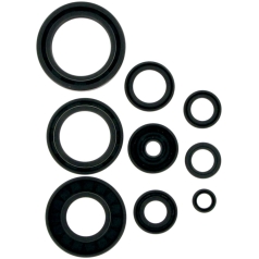 OIL SEAL SET