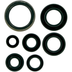 OIL SEAL SET