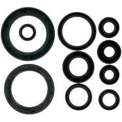 OIL SEAL SET