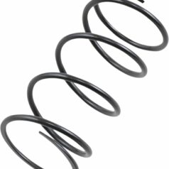 SECONDARY CLUTCH SPRING EBS BLACK
