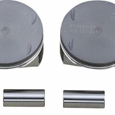 PISTON Kit 107".005 M8