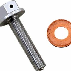 DRAIN PLUG MAGNETIC SLVR