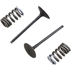 VALVE AND SPRING INTAKE KIT