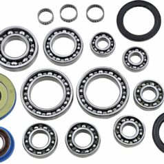 DIF BEARING SEAL KIT RR