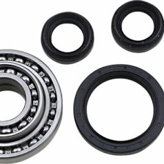 DIF BEARING SEAL KIT FR