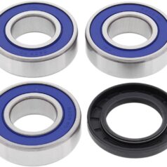 WHEEL BEARING & SEAL KIT REAR SUZUKI REAR