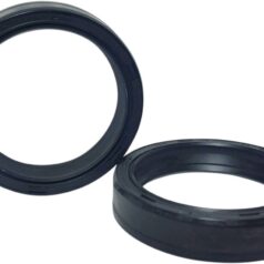 FORK SEAL 43X54X11