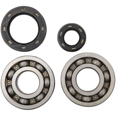 CRANKSHAFT BEARING