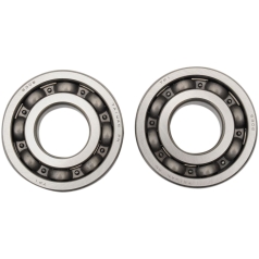 HOT RODS BEARING & SEAL KIT YAMAHA