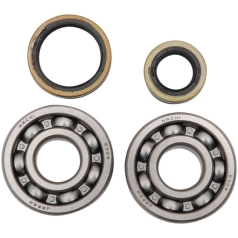HOT RODS BEARING & SEAL KIT SUZUKI