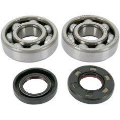 HOT RODS BEARING & SEAL KIT YAMAHA