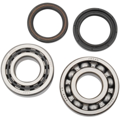 CRANKSHAFT BEARING