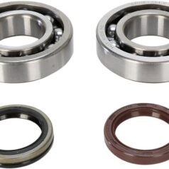 CRANKSHAFT BEARING