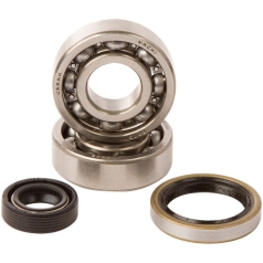 HOT RODS BEARING & SEAL KIT KTM