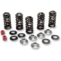 SPRING KIT RACING TITANIUM RETAINER