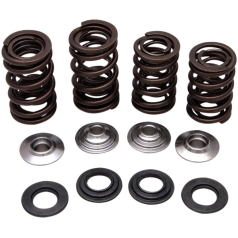 SPRING KIT RACING TITANIUM RETAINER