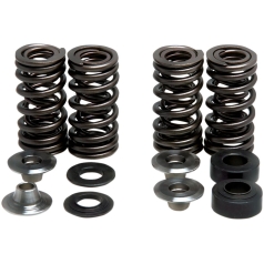 SPRING KIT RACING TITANIUM RETAINER