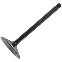 VALVE BLACK DIAMOND INTAKE