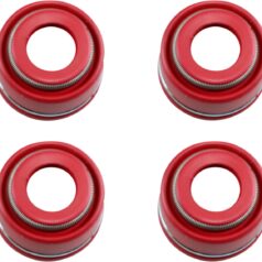 VALVE SEAL