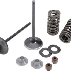 INTAKE VALVE & SPRING KIT TITANIUM RETAINER