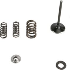 INTAKE VALVE & SPRING KIT TITANIUM RETAINER